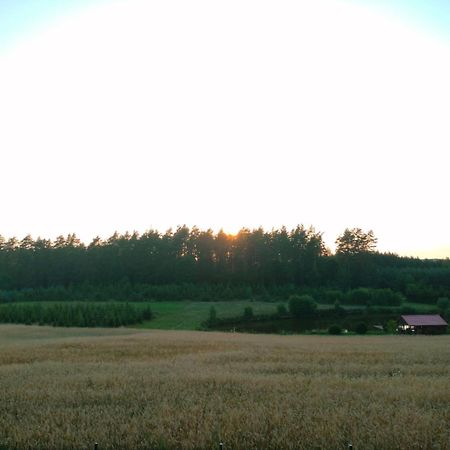 Agroturystyka U Kasi Suryty Экстерьер фото