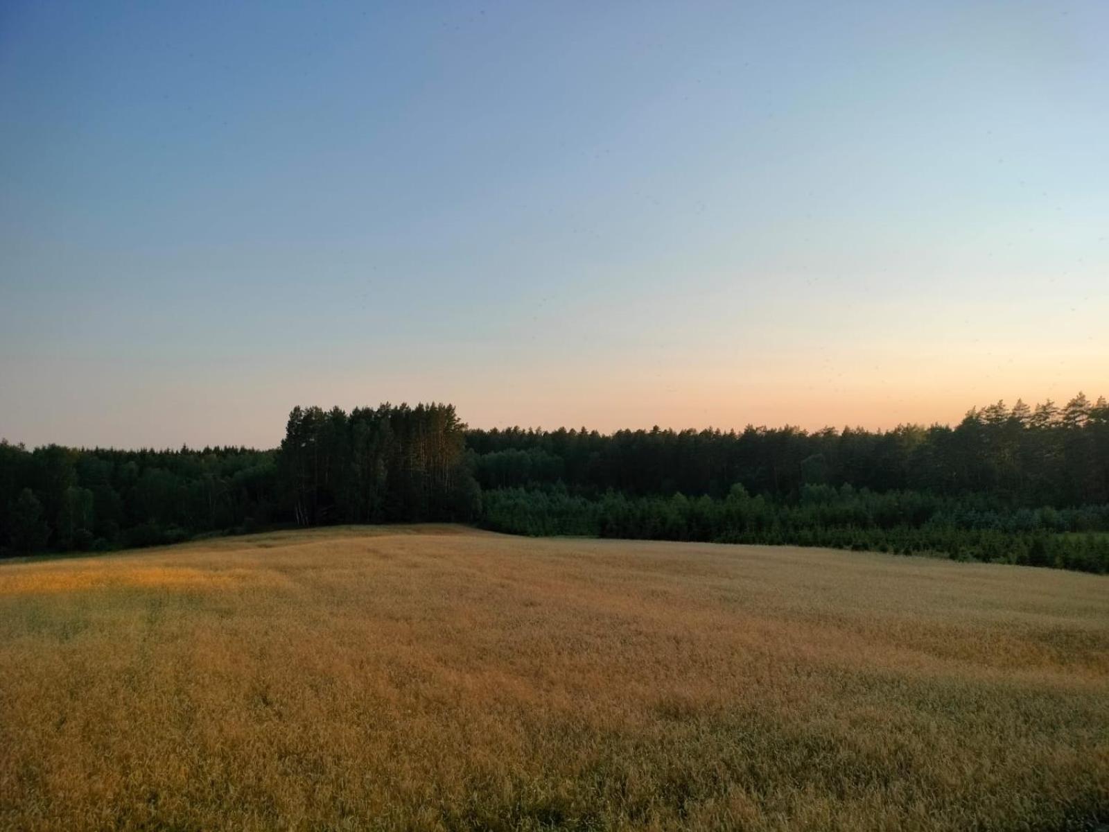 Agroturystyka U Kasi Suryty Экстерьер фото